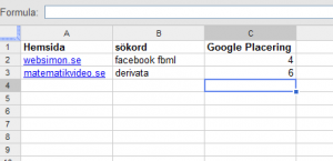 placering i google flera sajter